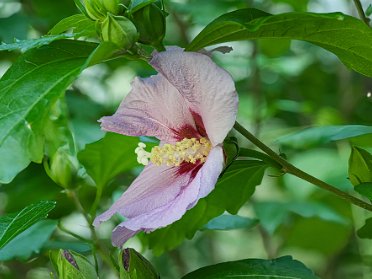 Garten 07 2023