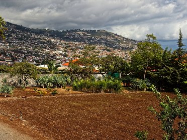 Madeira