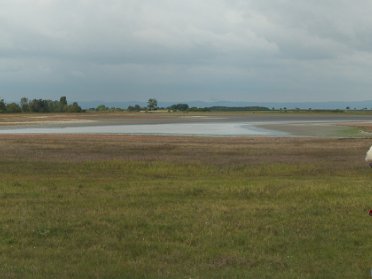 Seewinkel 2023